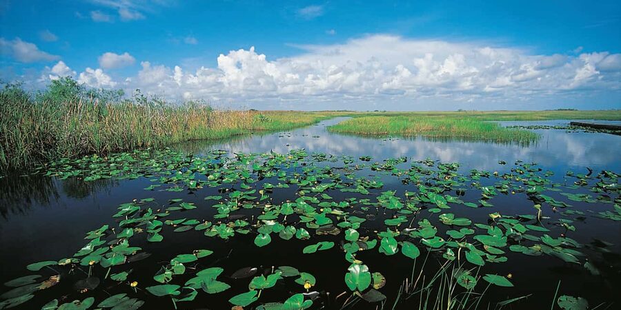 From Miami: Everglades Airboat Alligator Tour with Transfer - Animal sanctuary stop and the short education moment