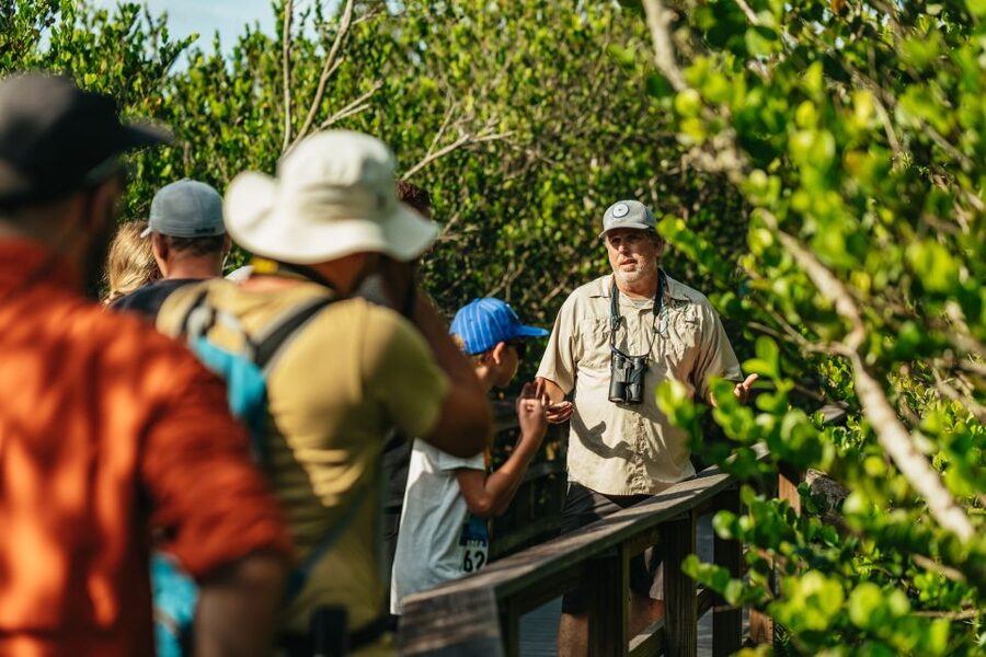 From Miami: Everglades Airboat Ride and Nature Walk - Key highlights worth getting excited about