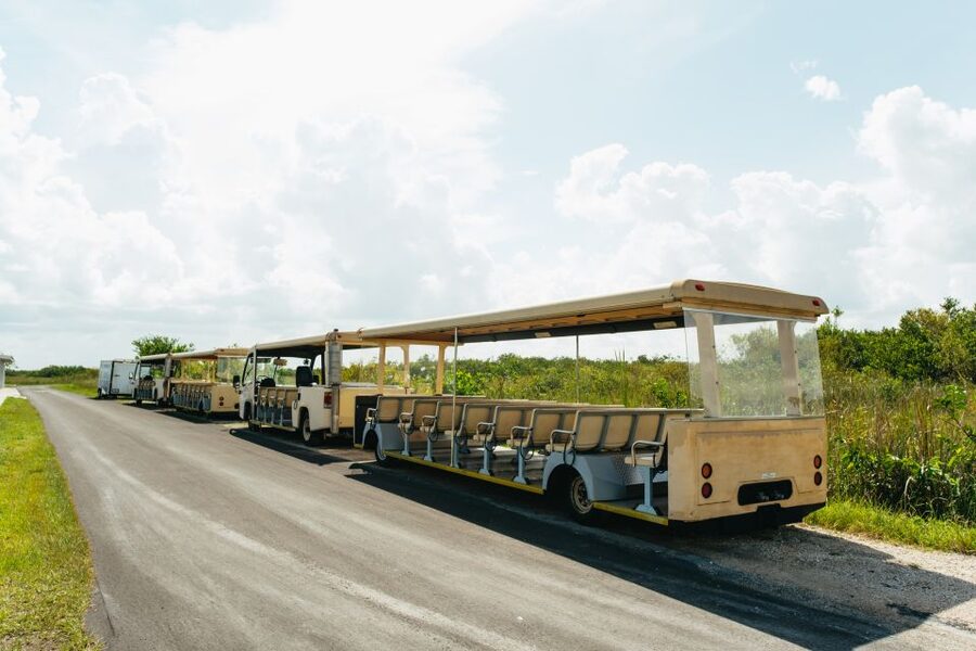 From Miami: Everglades Airboat Ride and Nature Walk - The airboat ride: how the day turns wild