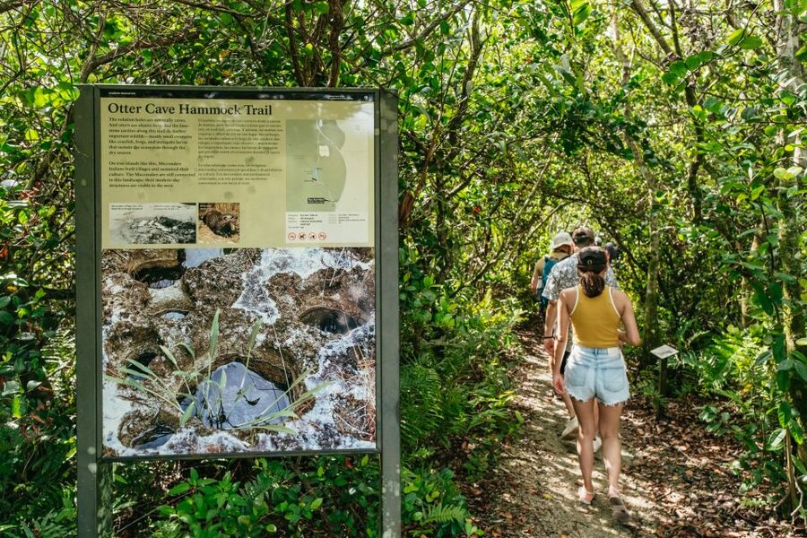 From Miami: Everglades Airboat Ride and Nature Walk - Who this Everglades day fits best