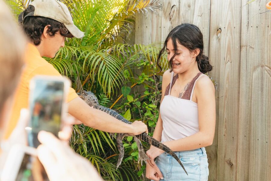 From Miami: Everglades Airboat, Wildlife Show & Bus Transfer - From Miami to the Everglades: the bus ride that sets the tone