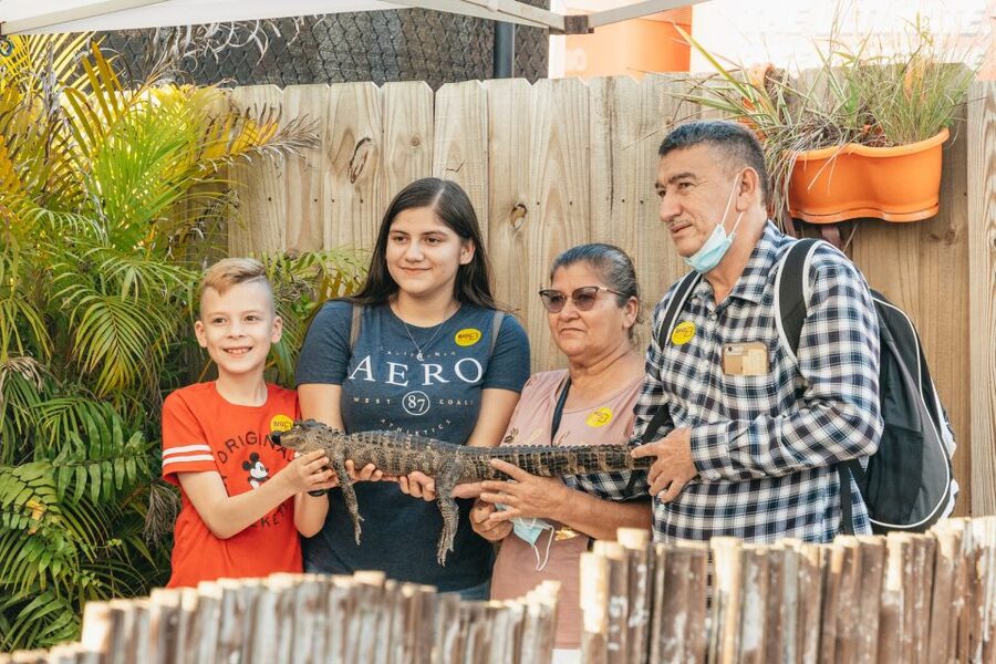 From Miami: Everglades Airboat, Wildlife Show & Bus Transfer - Price and value: why $49 can be a smart deal from Miami