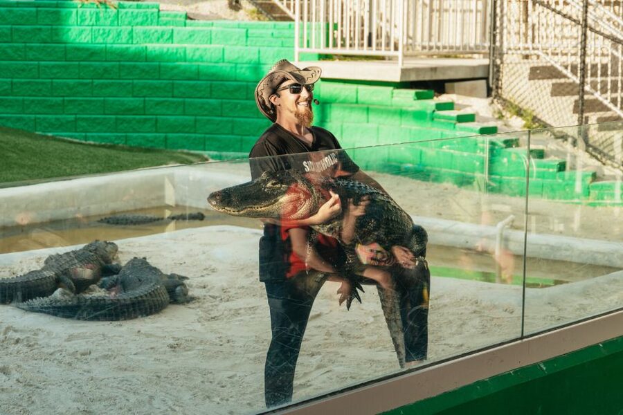 From Miami: Everglades Airboat, Wildlife Show & Bus Transfer - Who should book this Everglades airboat and wildlife show?