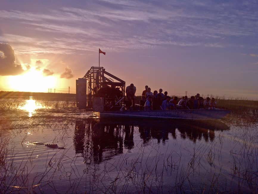 From Miami: Everglades at Night with Guided Airboat Tour - Key highlights you’ll actually feel