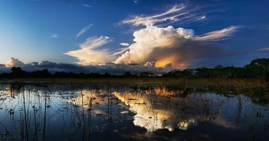 From Miami: Everglades at Night with Guided Airboat Tour - The 1-Hour Airboat Ride: Speed, Captains, and What You’re Doing on Board