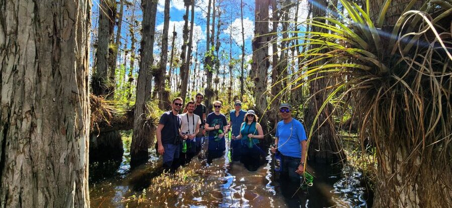 From Miami: Everglades Tour w/ Wet Walk, Boat Trips, & Lunch - Miami to the Everglades, with less hassle than DIY