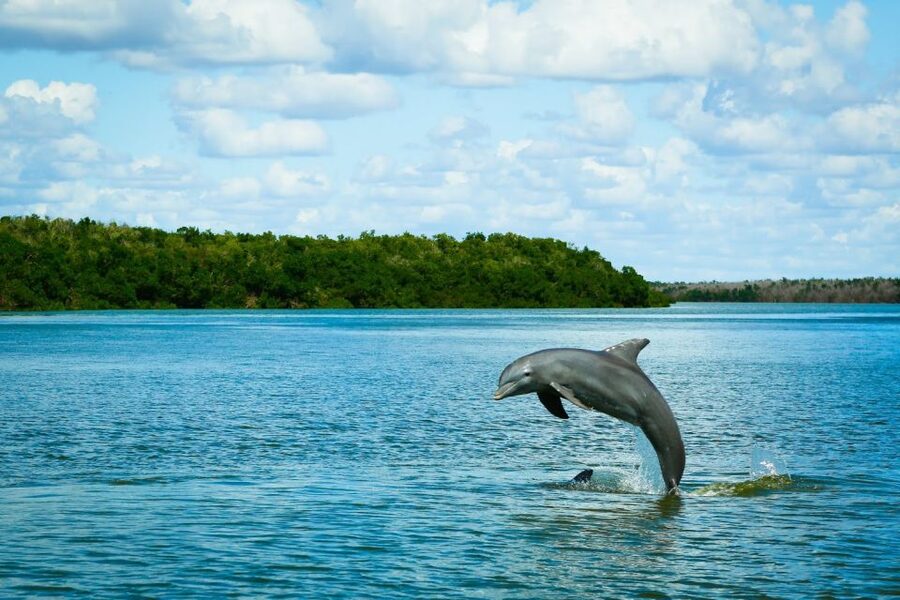 From Miami: Everglades Tour w/ Wet Walk, Boat Trips, & Lunch - Tree island village, learning how people lived there