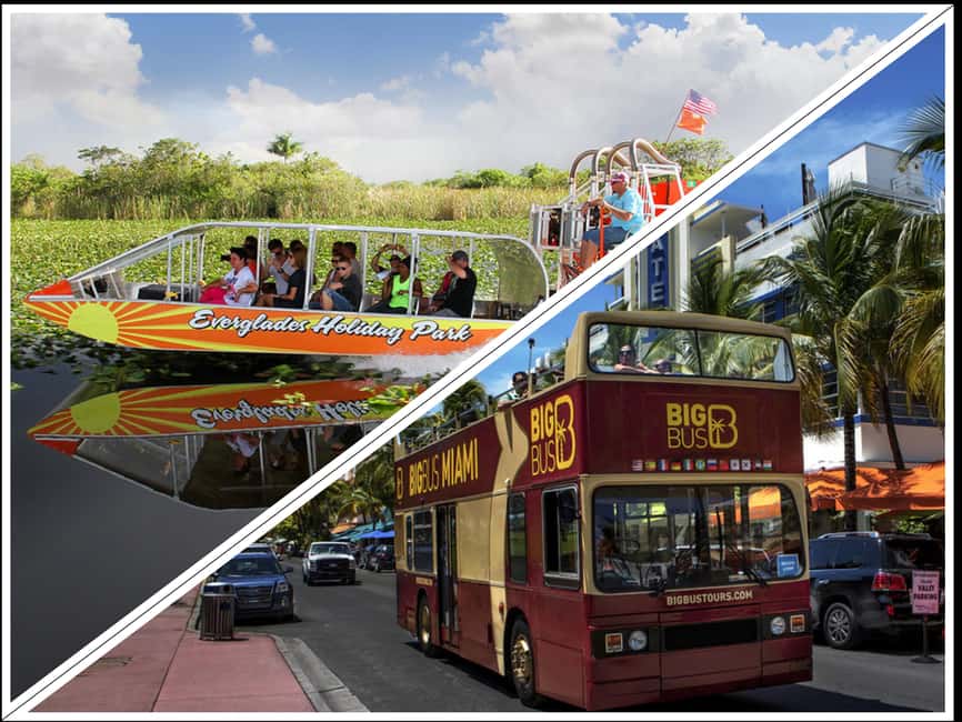 From Miami: Everglades, Wildlife Show, & Hop-on Hop-off Tour - The Big Picture: a 5-hour day with two totally different moods