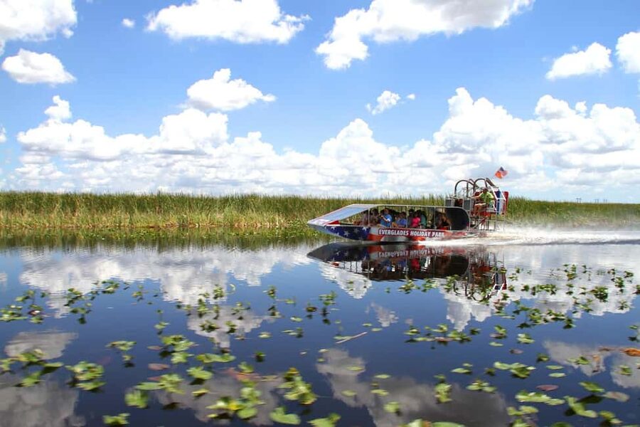 From Miami: Everglades, Wildlife Show, & Hop-on Hop-off Tour - The wildlife show with traditional Seminole handling: up-close, structured, and educational