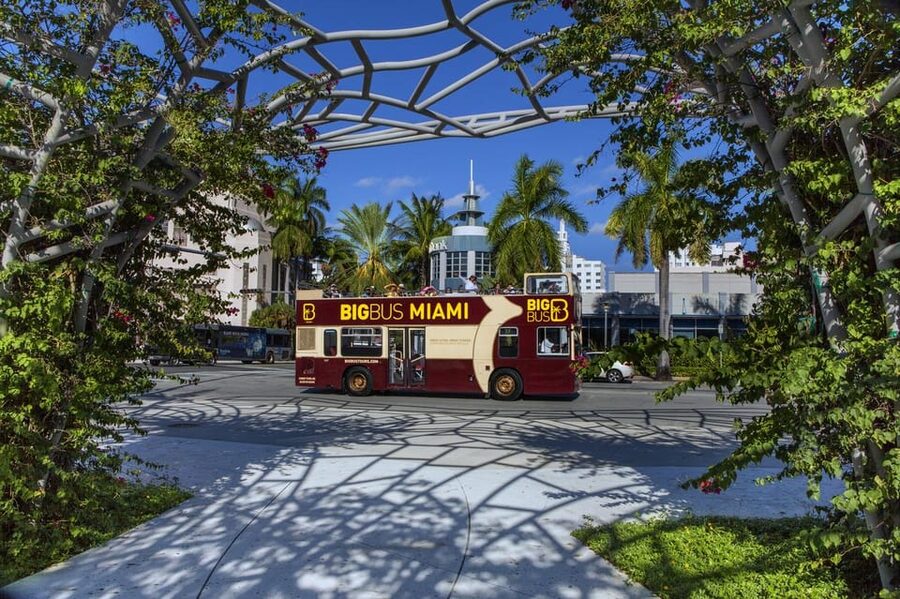From Miami: Everglades, Wildlife Show, & Hop-on Hop-off Tour - How the Spanish version actually works (so you don’t get surprised)