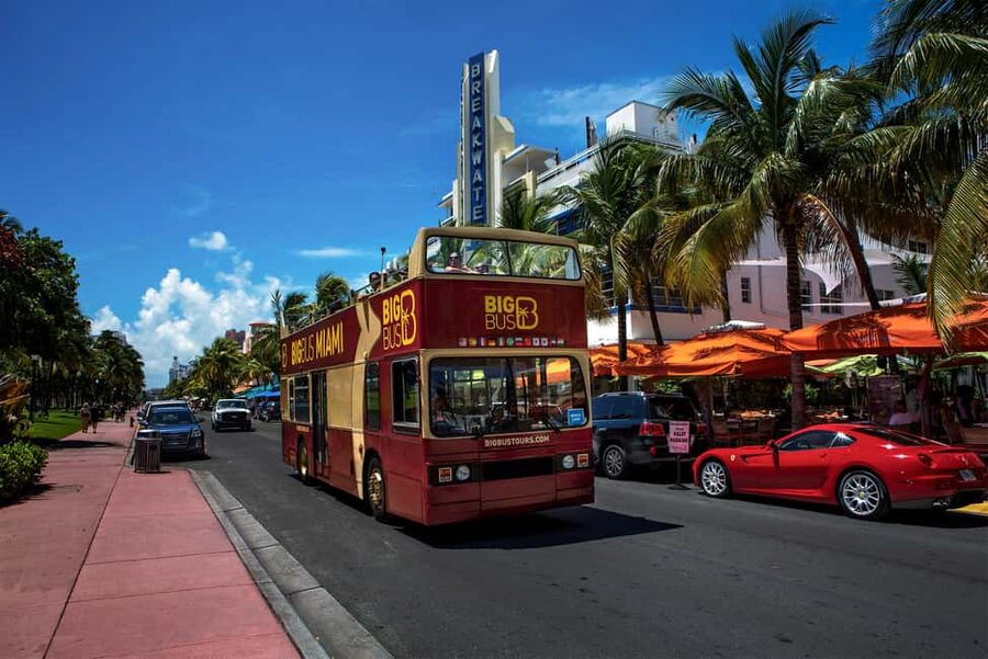 From Miami: Everglades, Wildlife Show, & Hop-on Hop-off Tour - Comfort and small extras that make the day smoother