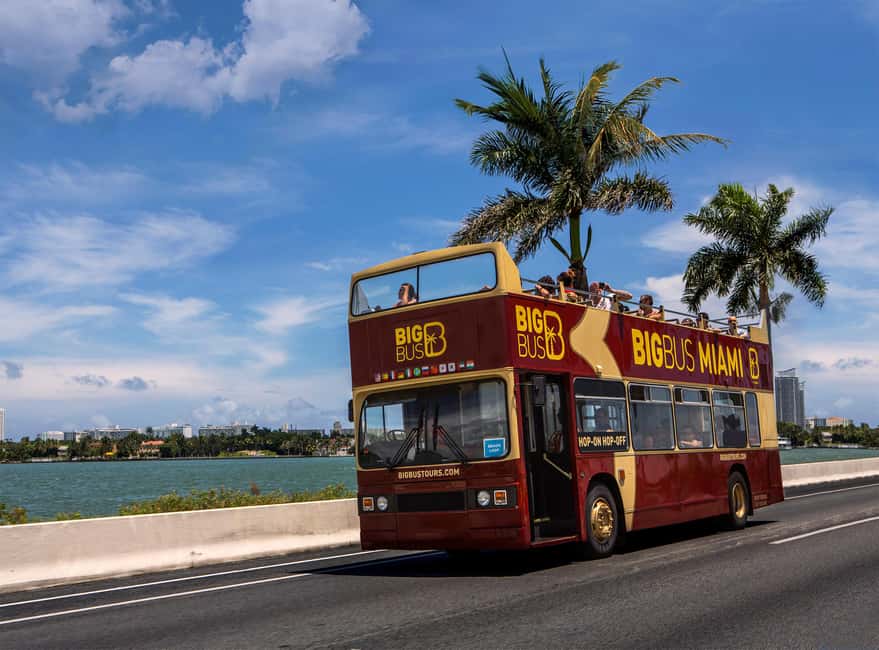 From Miami: Everglades, Wildlife Show, & Hop-on Hop-off Tour - Price and value: is $79 fair for what you get?