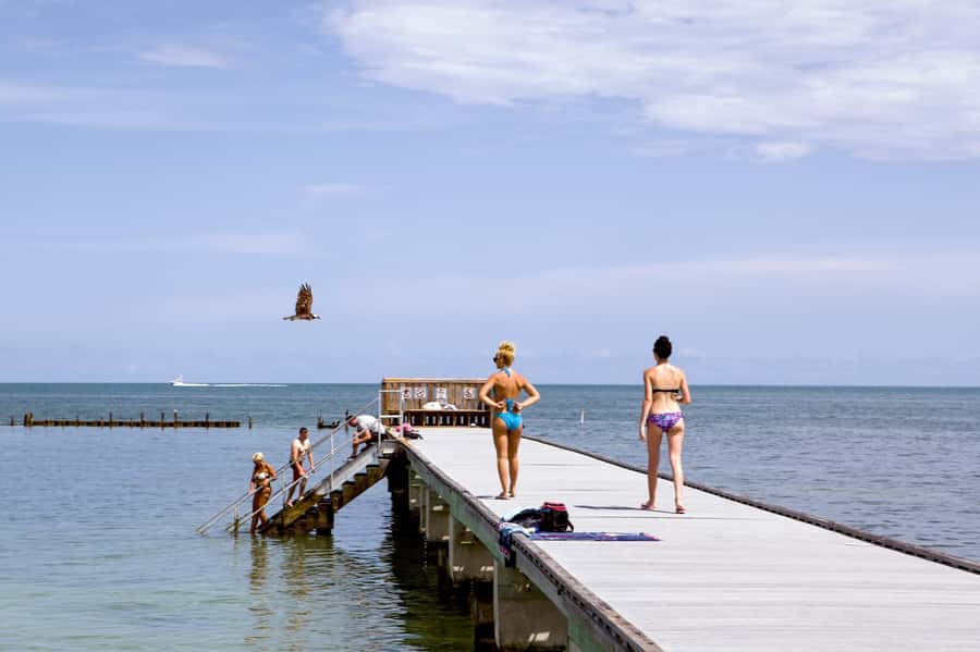 From Miami: Key West Day Tour by Motor Coach Bus - Hemingway’s House, the southernmost point, and Ripley’s as your “sure bets”