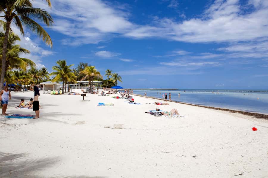 From Miami: Key West Day Tour by Motor Coach Bus - Getting the best value from $62: what’s really included