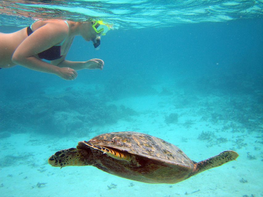 From Miami: Key West Day Trip - Key West Day Trip Highlights You Will Feel Immediately