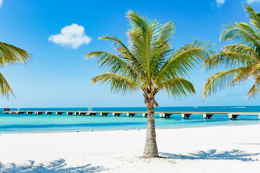 From Miami: Key West Day Trip - Miami to the Southernmost City, with Time That Actually Adds Up