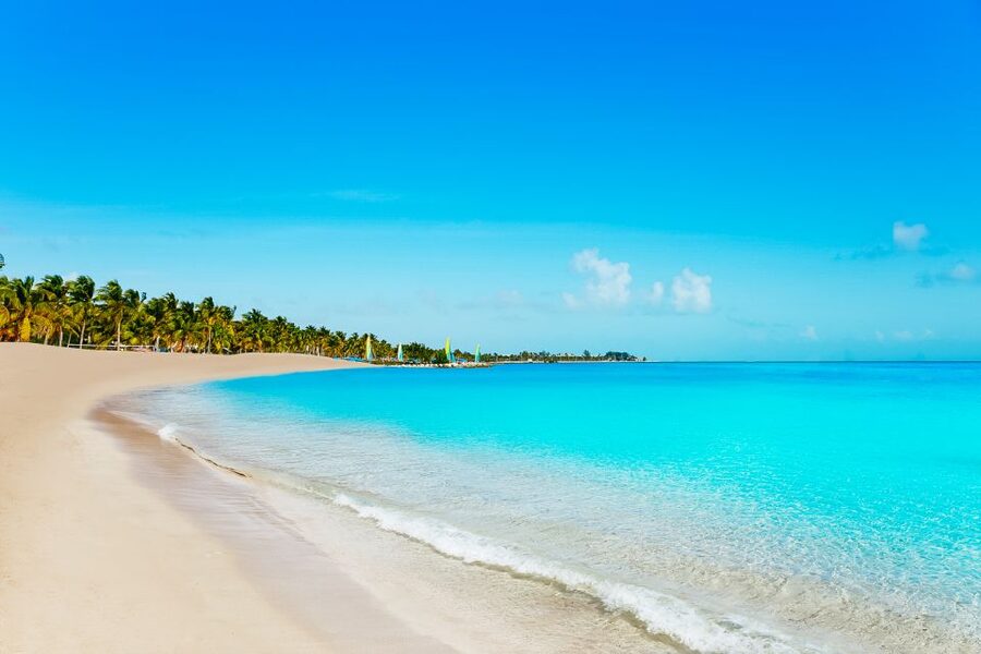 From Miami: Key West Day Trip - Price and Value: What You Really Pay for at $75