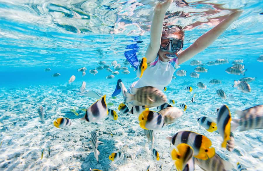 From Miami: Key West Day Trip with Narration - Key highlights at a glance