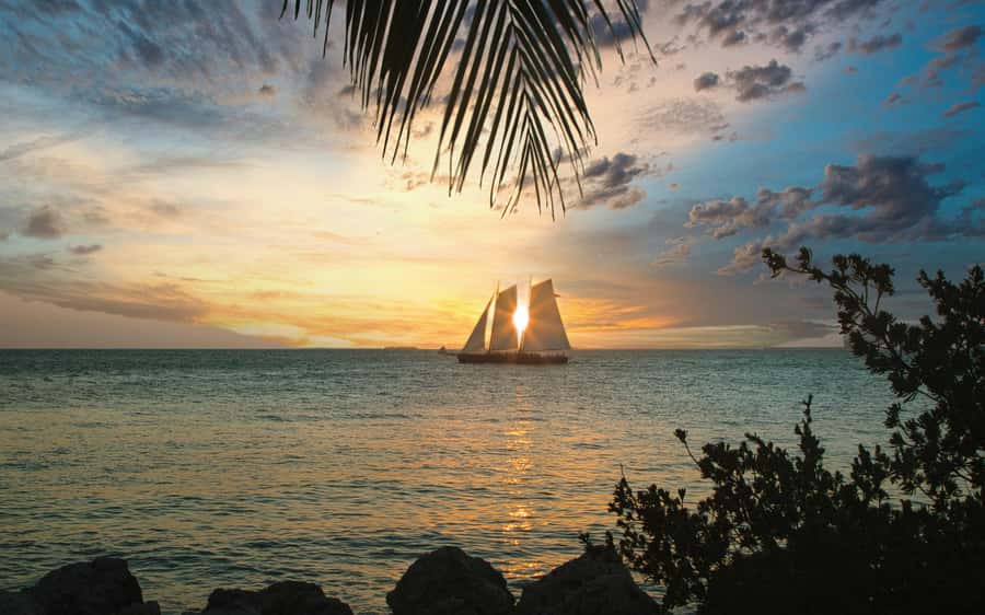 From Miami: Key West Day Trip with Narration - Price and value: what $39 covers, and what it does not