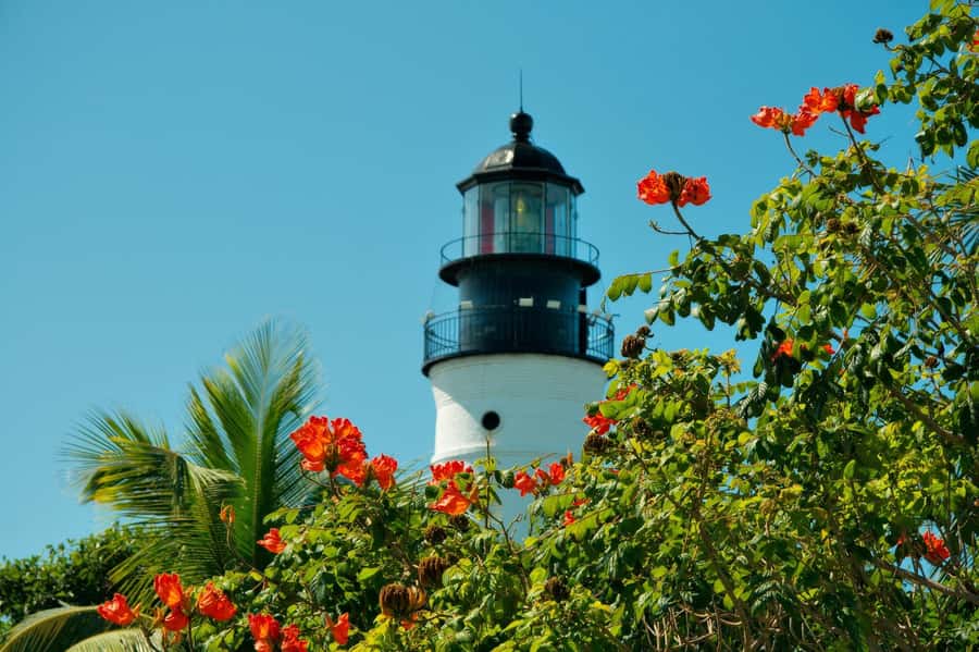 From Miami: Key West Day Trip with Narration - Dry Tortugas National Park: a tempting idea, not an automatic add-on