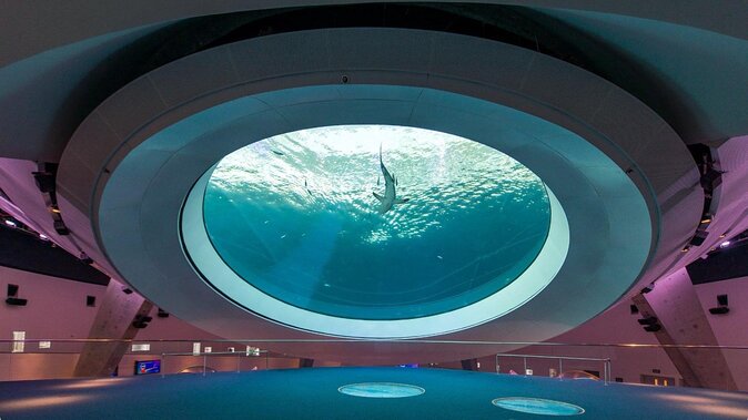 Frost Science Museum Admission Tickets - A ticket that usually buys you 2 to 3 hours