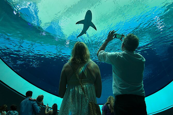 Frost Science Museum Admission Tickets - Key things to know before you buy