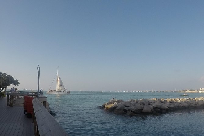 Full-Day Key West Tour and Coral Reef Snorkeling with Open Bar - Weather, jellyfish, and choppy water: when snorkeling gets unpredictable