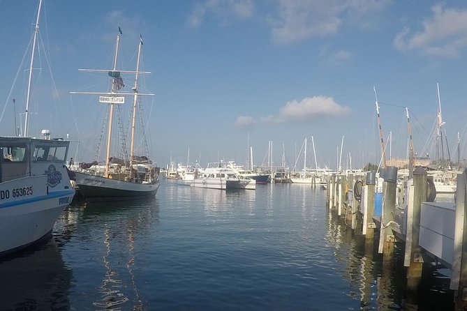 Full-Day Key West Tour and Coral Reef Snorkeling with Open Bar - Snorkeling do’s for first-timers who can swim
