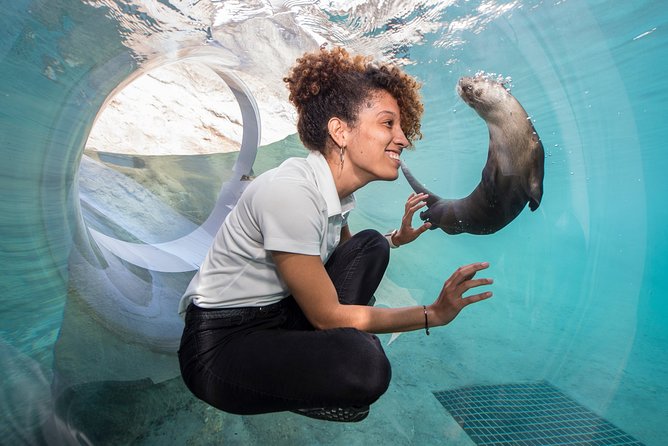 Go City: Miami All-Inclusive Pass with 25+ Attractions and Tours - Everglades-style touring, wildlife time without deep wilderness skills