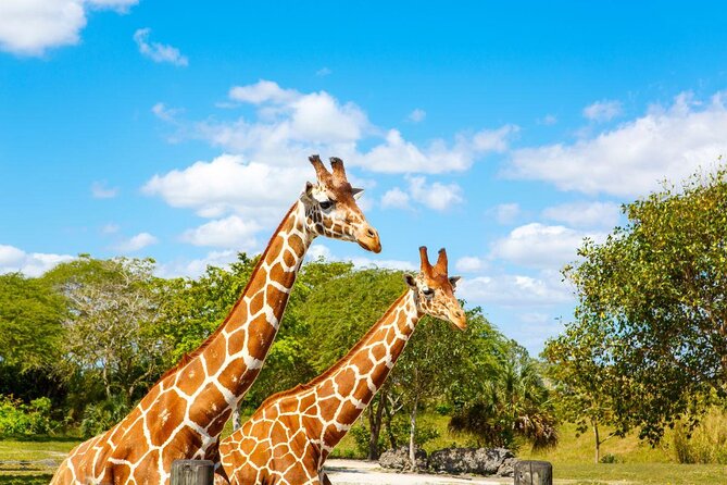 Go City: Miami Explorer Pass - Choose 2, 3, 4 or 5 Attractions - What This Explorer Pass Is Buying You (Beyond the Promo Percent)
