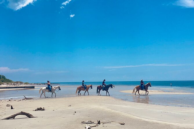 Guided Horseback Riding on The Pristine Waters of Miami Florida - Key highlights before you book