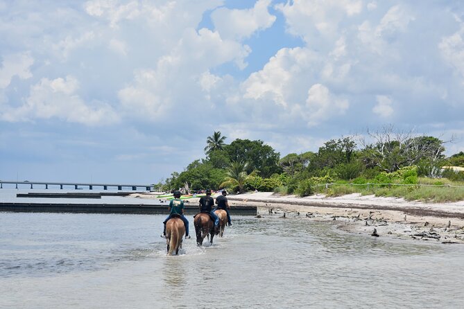 Guided Horseback Riding on The Pristine Waters of Miami Florida - Guides and horses: why the experience stays calm