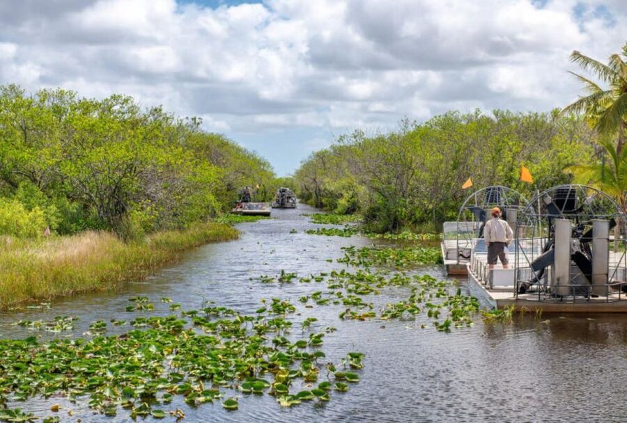 Half-Day Everglades Airboat Tours and Transportation - Price and value for $75: what you get, what you must plan for