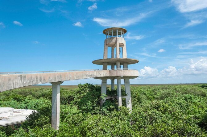 Half-day Everglades National Park Tour and 1-Hour Air Boat Ride - Key Points To Know Before You Go