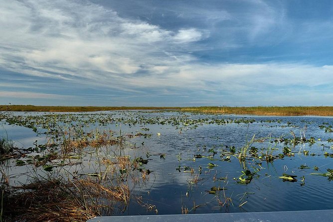 Half-day Everglades National Park Tour and 1-Hour Air Boat Ride - Shark Valley Area Visitor Time and Finding Your Own Pace