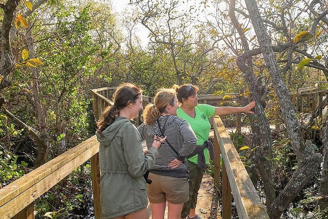 Half-day Everglades National Park Tour and 1-Hour Air Boat Ride - Miccosukee Indian Village: A Smaller Airboat Ride Far From Land
