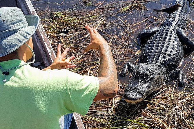 Half-day Everglades National Park Tour and 1-Hour Air Boat Ride - Price and What Makes $189 Feel Fair