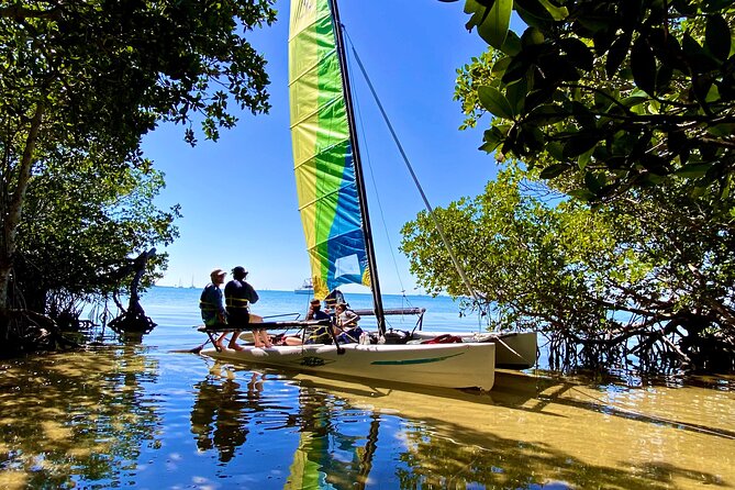 Half-Day Private Guided Sailing Adventure of Miami's Biscayne Bay - Biscayne National Park waters: dolphins, manatees, starfish, and sunsets