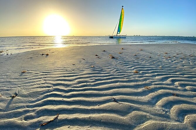 Half-Day Private Guided Sailing Adventure of Miami's Biscayne Bay - Key Biscayne mangroves: birds, wildlife by the roots, and a snorkel or rest stop