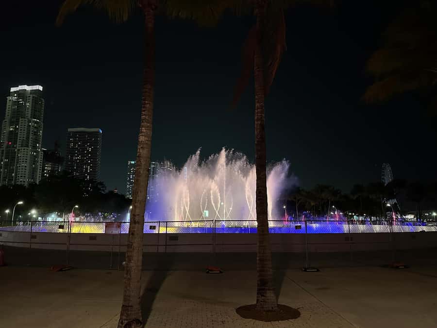 Hop-on Hop-off Water Taxi in Miami and Miami Beach - Who this water taxi suits best, and who should skip it