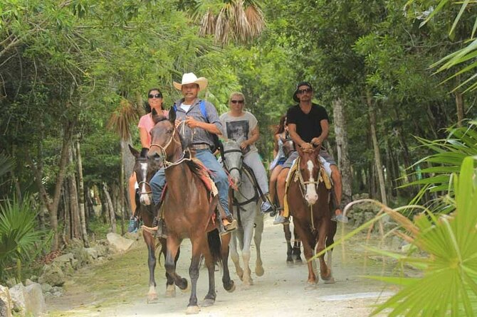 Horse Riding in Miami's Countryside - Key Things You’ll Notice Right Away