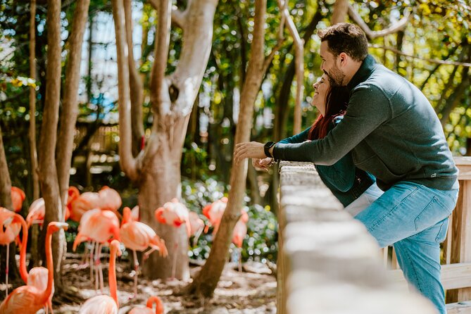 Jungle Island General Admission Ticket - Key things to know at Jungle Island