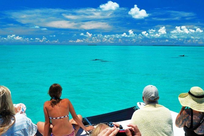 Key West Day Trip from Miami with Activities - Pickup Timing and the Key West Drop-off You’ll Actually Need