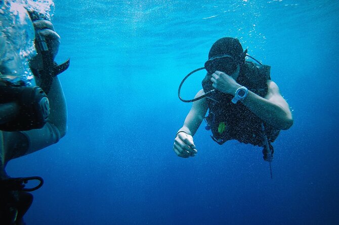 Key West from Miami with Snorkeling, Drinks and Hard Rock Cafe Meal - Group size, guide style, and how to get the most out of the day