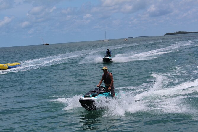 Key West Tours from Miami: Dolphin Discovery, Snorkeling & More ! - A Full-Day Coach Ride to Key West, Built Around Dolphins