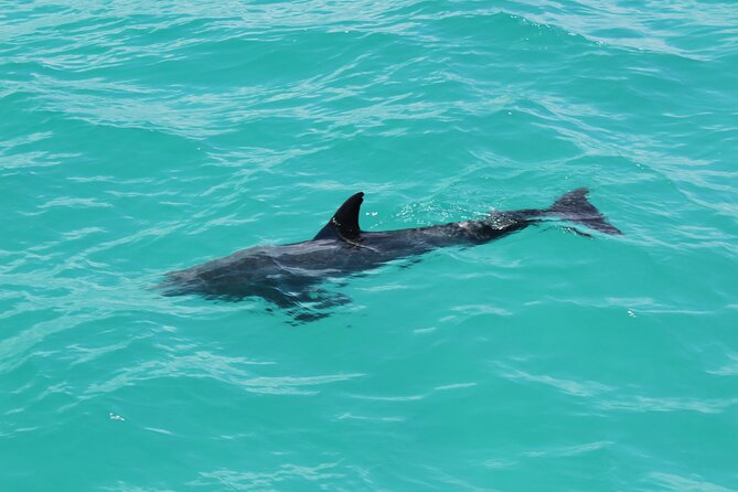Key West Tours from Miami: Dolphin Discovery, Snorkeling & More ! - The Bus Ride Details That Can Make or Break Your Comfort