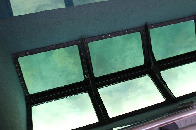 Key West Tours from Miami: Dolphin Discovery, Snorkeling & More ! - Food and Drinks: What’s Covered and What Costs Extra