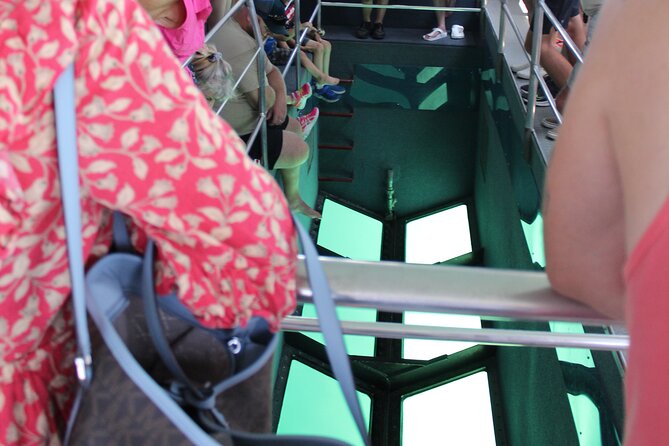 Key West Tours from Miami: Dolphin Discovery, Snorkeling & More ! - Dolphin Watch and Snorkeling Gear: Why This Setup Feels Like Real Value