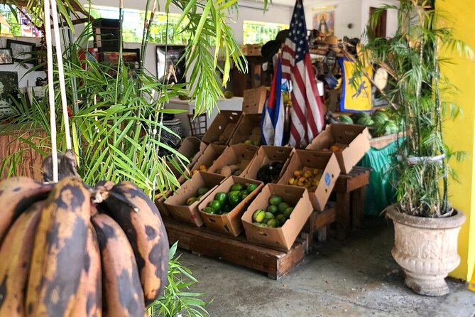 Little Havana: Authentic Food and Culture Walking Tour - Art Stops and Rooster Alley Murals: Seeing Little Havana Now
