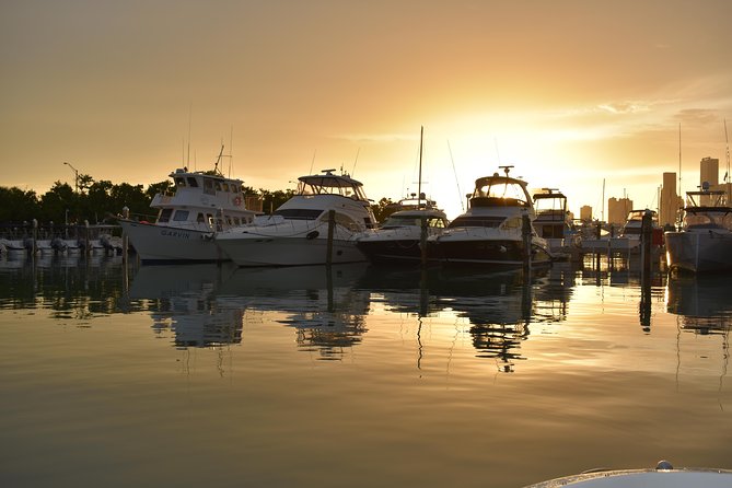 Luxury Charter + Access to Hidden Gems in Biscayne National Park - Biscayne National Park access by boat, the part that actually changes the day